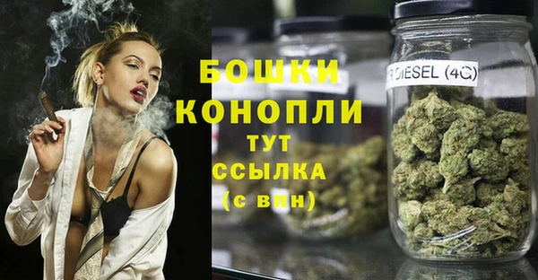 дживик Сосновый Бор