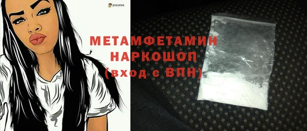 шишки Аркадак