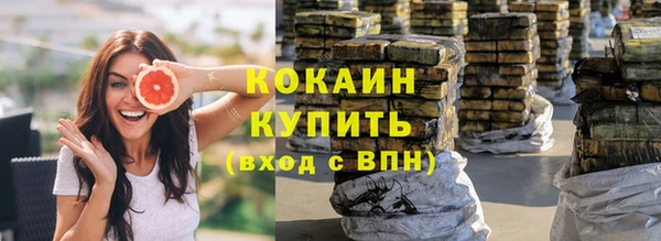 шишки Аркадак