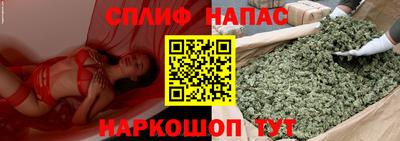 гидропоника Бийск