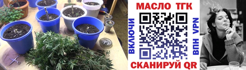 где можно купить   Волгоград  ТГК вейп 