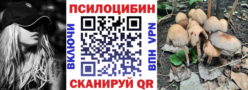 цена наркотик  Волгоград  Псилоцибиновые грибы Magic Shrooms 