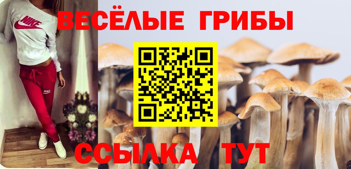 Волгоград  Псилоцибиновые грибы MAGIC MUSHROOMS  Вход с VPN 
