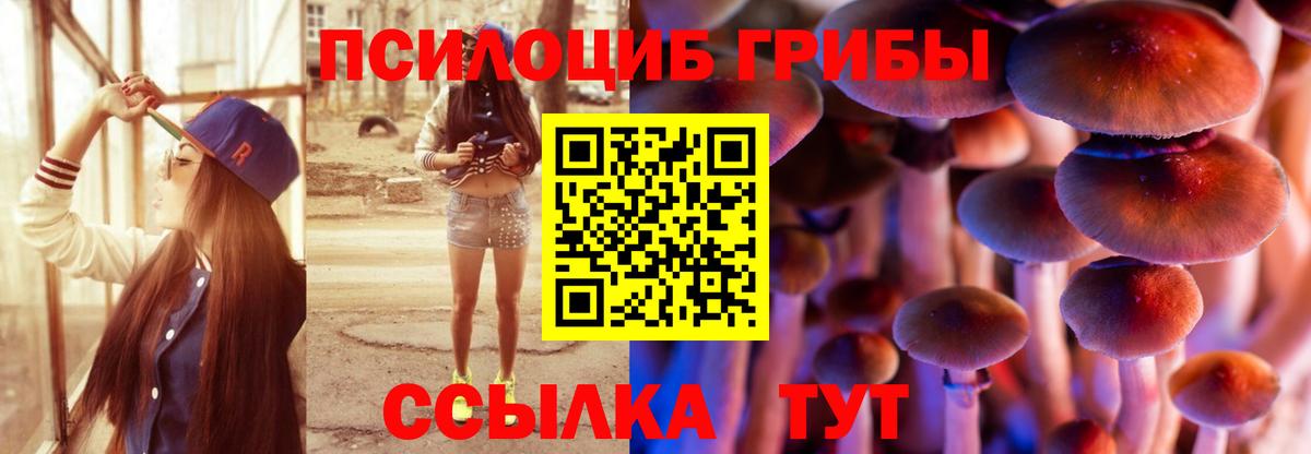 Псилоцибиновые грибы ЛСД Волгоград