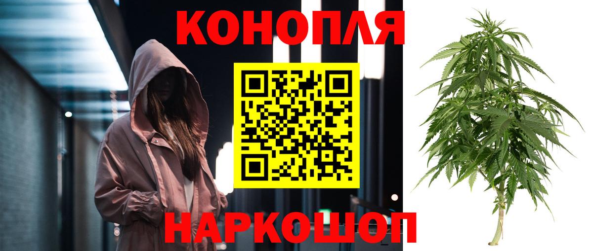 Волгоград  Шишки марихуана сатива  Шишки марихуана тримм  Вход с VPN  МАРИХУАНА конопля 